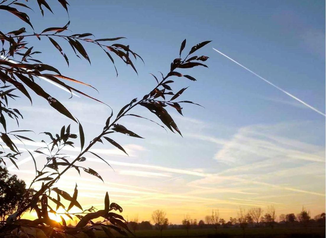 Ut Witte Huisje Venhorst Bagian luar foto
